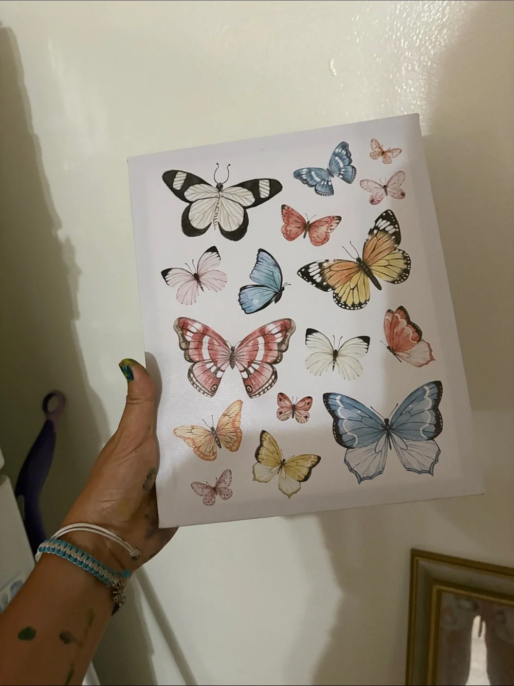 Butterfly Wall Art Poster - Multicolor